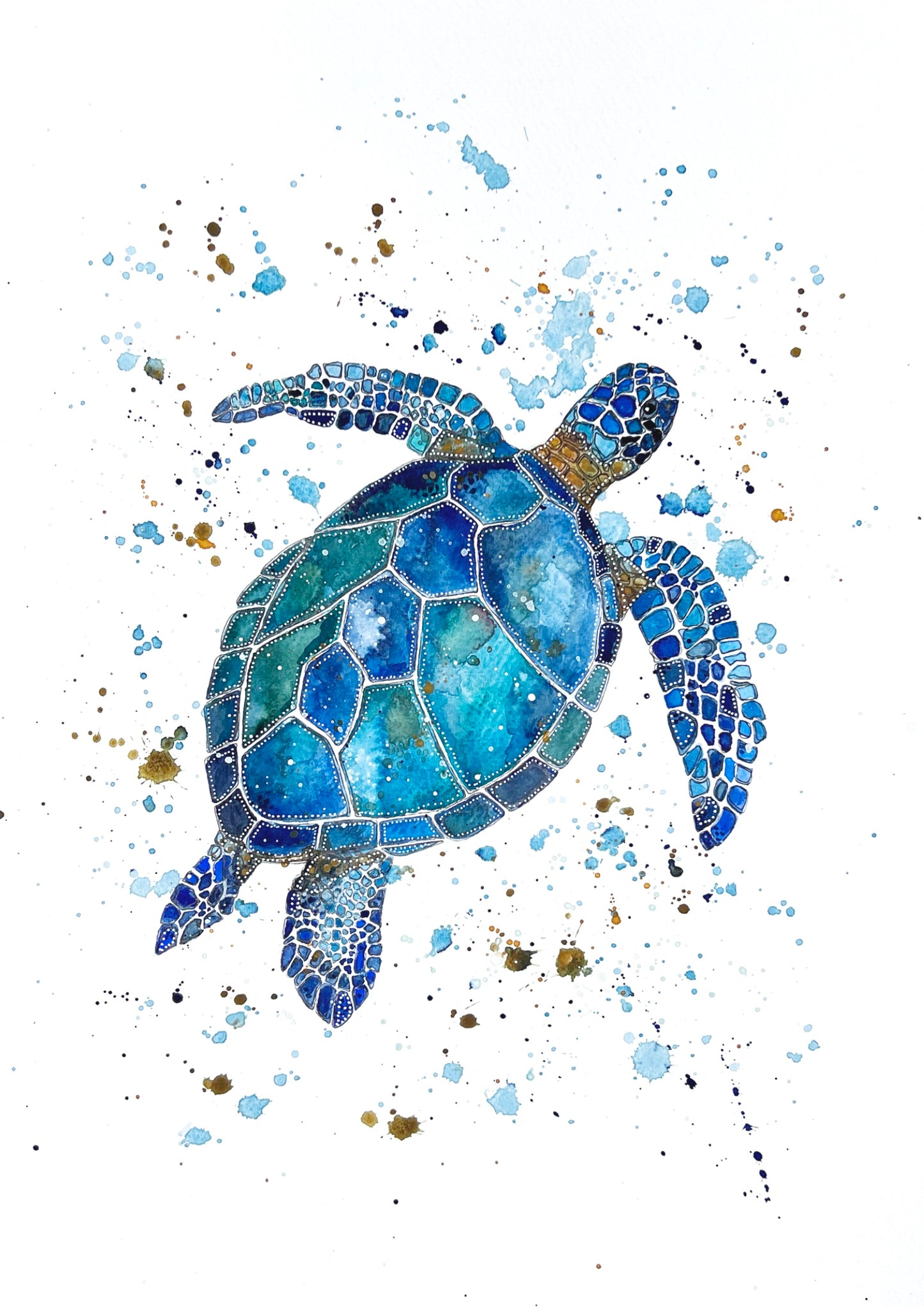Turtle 1