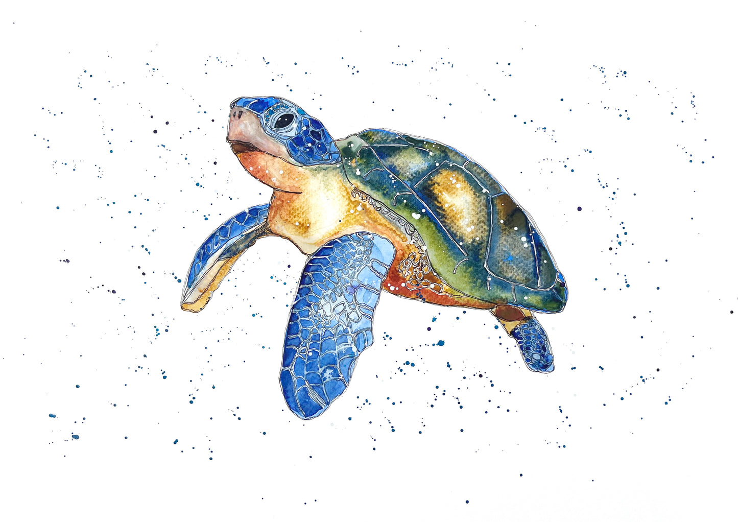 Turtle 2