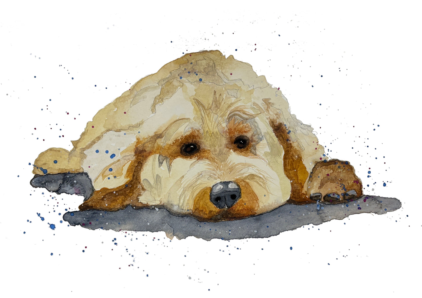 Cockapoo Print