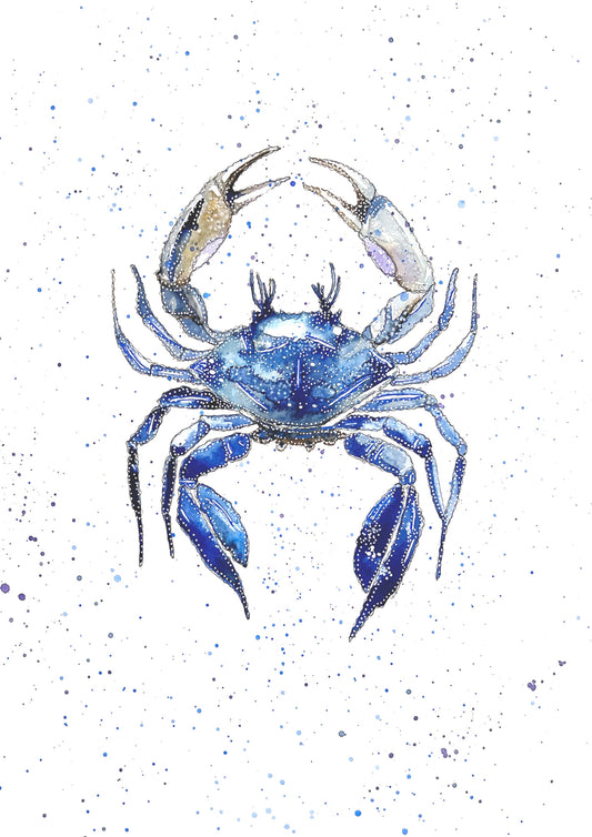 Blue Crab 3 Print