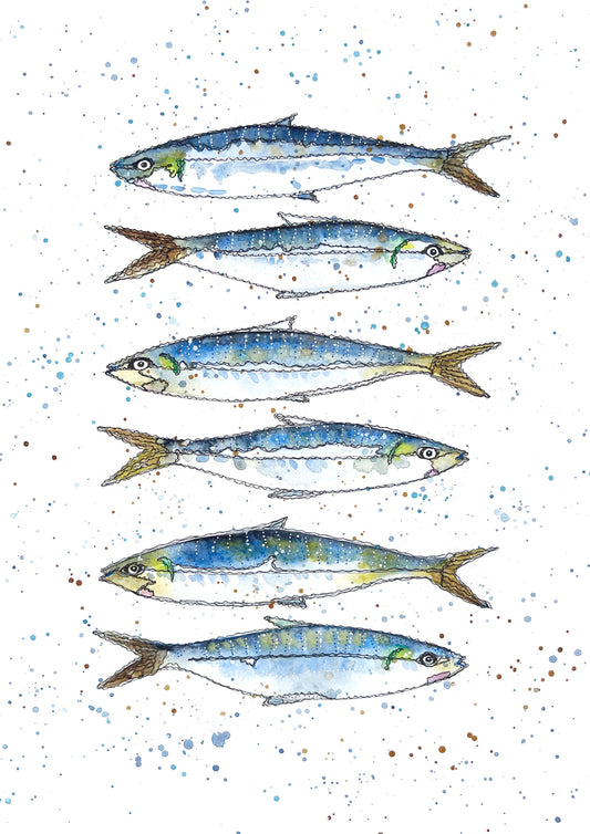 Blue Mackerel Fish Print