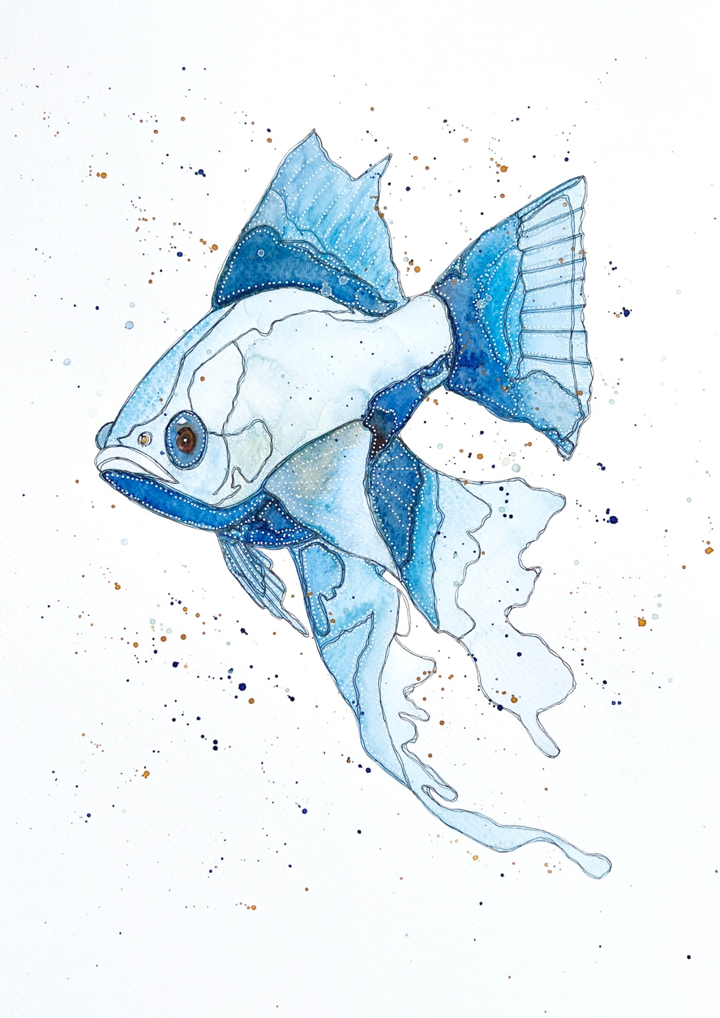 Blue Fantail Fish Print