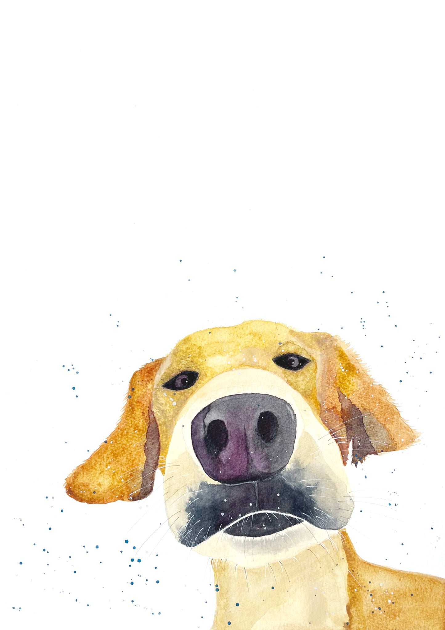 Yellow Labrador Print