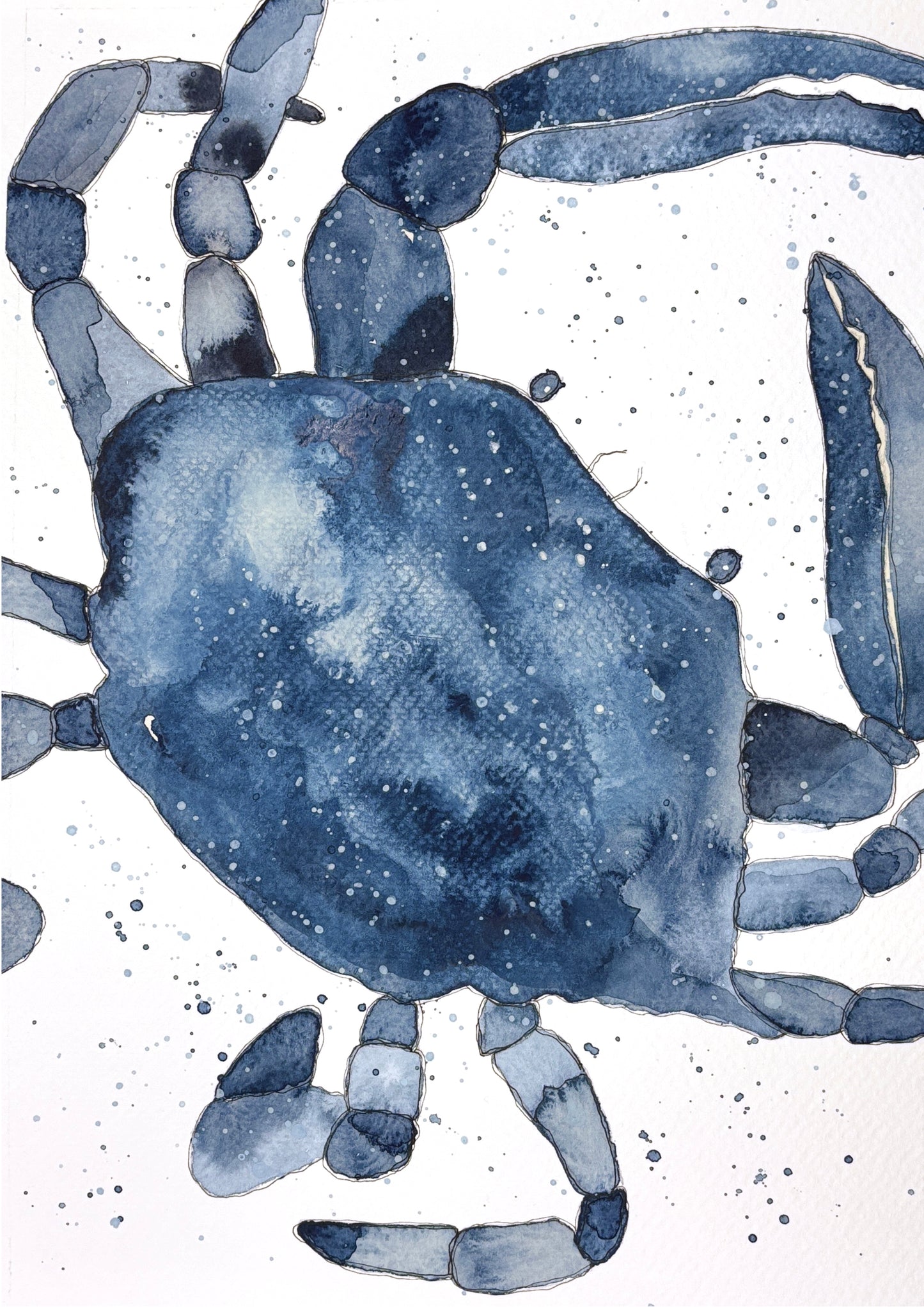 Blue Crab 1 Print