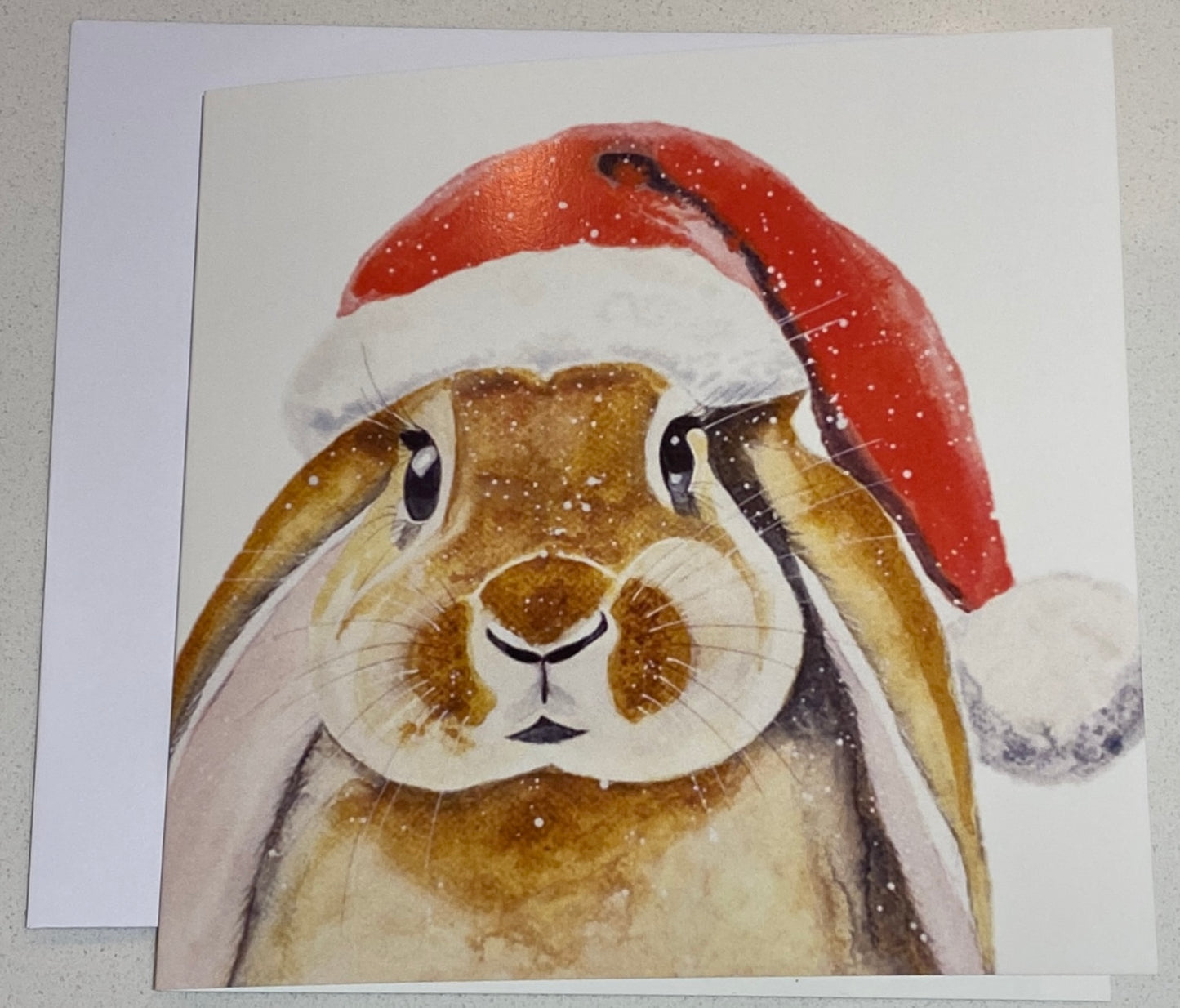 Bunny Christmas Card x 5