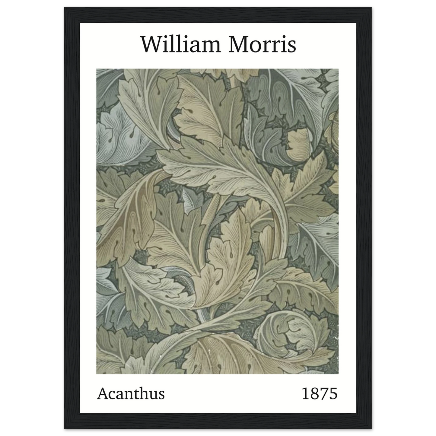 fe3bdd4b-2ed0-44f2-8ab3-0a75d73b45a9